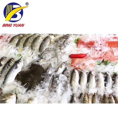 عملکرد یخی Yixing ICS Snow Flake Ice Ice در قایق ماهیگیری