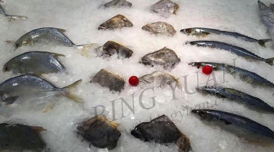 ظرفیت روزانه 30 تن دستگاه یخ Flake ، یخ ساز اتوماتیک با صرفه جویی در انرژی