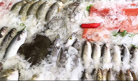 2.8 کیلو وات 800 کیلوگرم صنعتی یخ ساز تکه های صنعتی ، دستگاه یخ کوچک پوسته پوسته