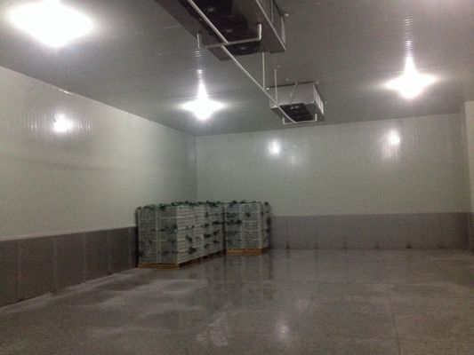 20m2 R404A سردخانه خنک کننده ، سردخانه کوچک
